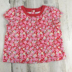 Janie and Jack Girls Pink Floral Tee with Red Base